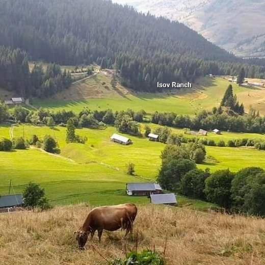 플라브 Isov Ranch 빌라 외부 사진