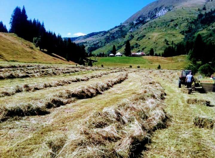 플라브 Isov Ranch 빌라 외부 사진
