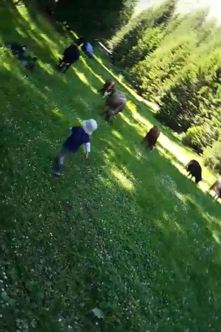 플라브 Isov Ranch 빌라 외부 사진