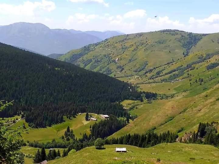 플라브 Isov Ranch 빌라 외부 사진